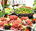 Buyuk Anadolu Didim Resort